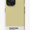 Redbubble Pineapple Slice Pantone Iphone Case Online