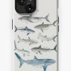 Redbubble Sharks Iphone Case Hot