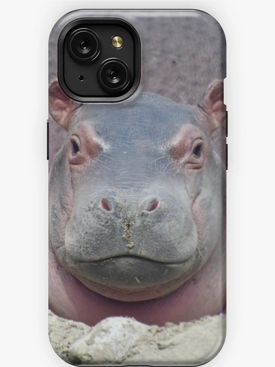 Redbubble Baby Hippo Fritz At The Cincinnati Zoo Iphone Case Clearance