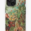 Redbubble Moss Iphone Case Clearance