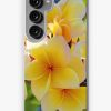 Redbubble Sunlit Plumeria Samsung Galaxy Phone Case Online