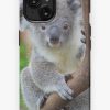 Redbubble The Koala - Australia'S Cutest Iphone Case Hot