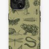 Redbubble Vintage Biology Nature Lover Collection: Frog, Mushroom, Snail, Moth Insects For Science And Natural History Iphone Case Wholesale