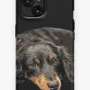 Redbubble Mini Dachshund Long Haired Black And Tan Miniature Iphone Case Best